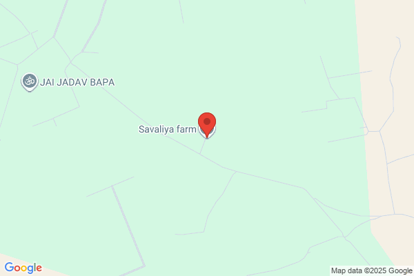 Savalia Seeds Farm