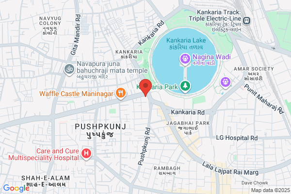 Dixit Investigation & Secutrity Ltd