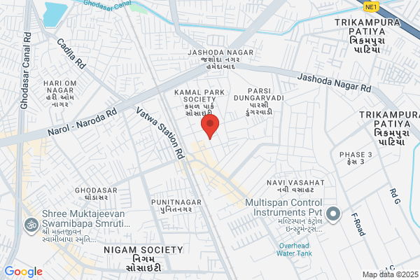 Swapnil Travels
