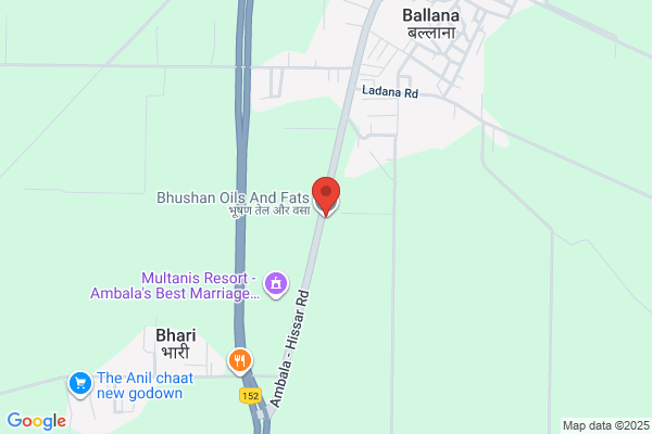 Bhushan Oils