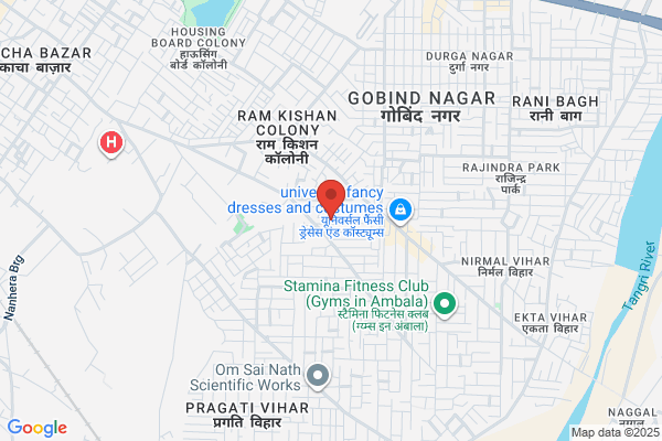 RUPALLI INSTRUMENTS CORPORATION