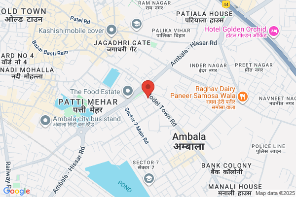 Vikas Agencies