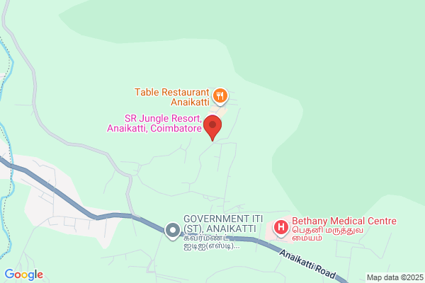 Aara Jungle  Resort