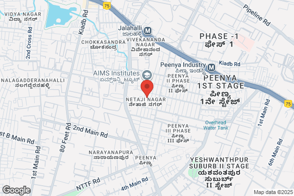 Maini Group