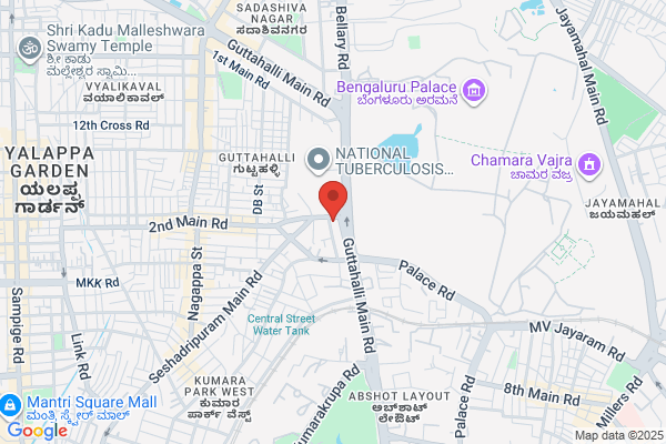 Tulips Auto India P Ltd