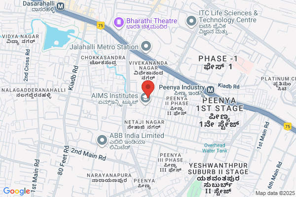 Bangalore Acids & Chemicals