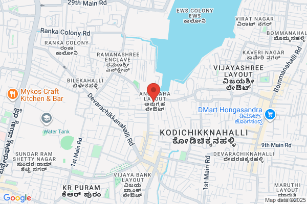 AGROSYNTH CHEMICALS LTD.,