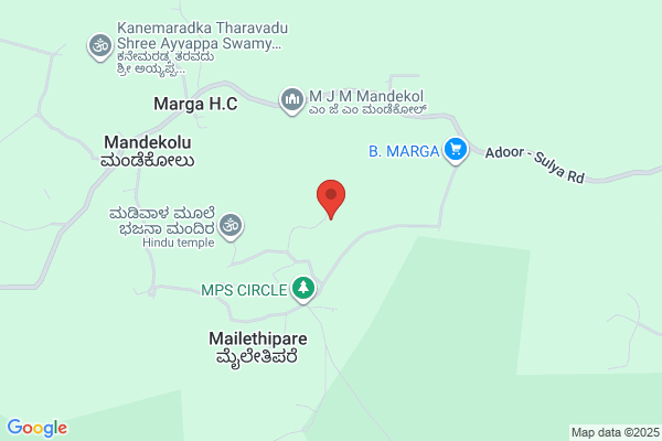 Vasudeva Mudugal & Co