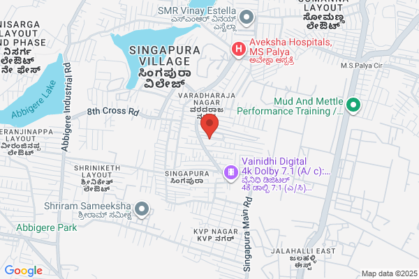 Apsara Fancy Stores