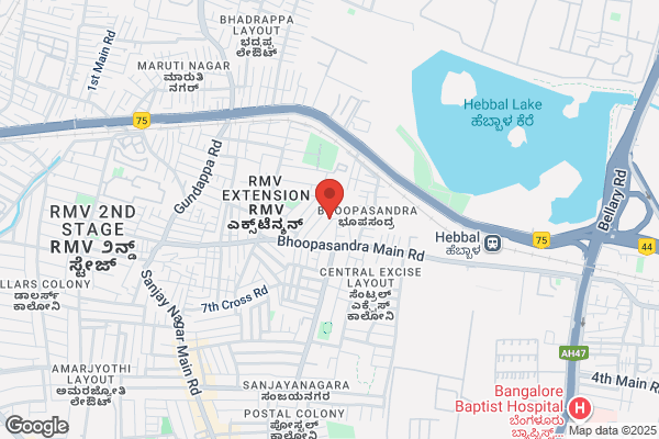 Ramamohan Dr B V