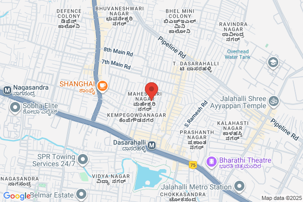 Thulasiram Dr T S