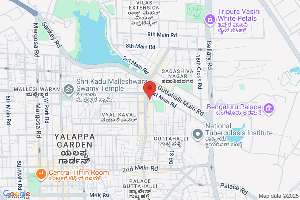 Ramani Orthopaedic Hospital