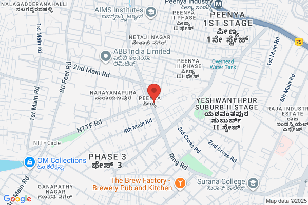 Mayura Andhra Sytle Restaurant