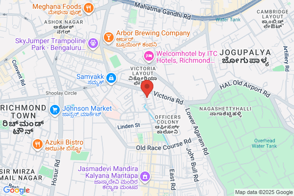 Digilog Systems