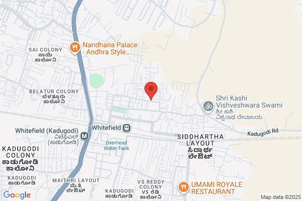 Ravi Electrical Industries