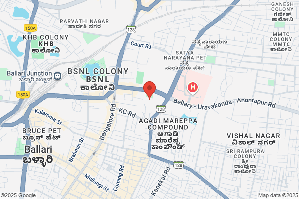 BELLARY STEELS & ALLOYS LTD