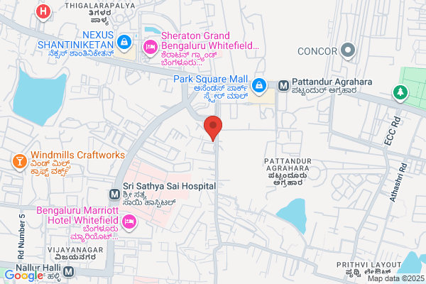 Home Delivery Restaurant in Whitefield | Regent Club