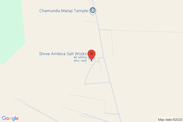 SHREE AMBICA SALT WORKS