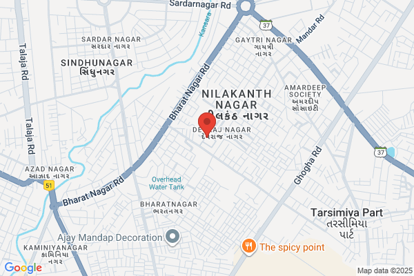 BHAVNAGAR MINERAL CORP.
