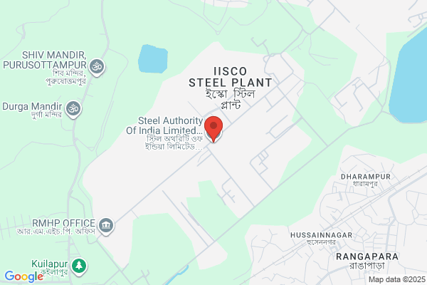 INDIAN IRON & STEEL CO LTD
