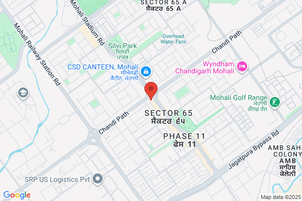 Spy Detective Chandigarh