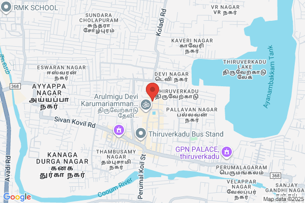 Sri Devi Karumari Astrology