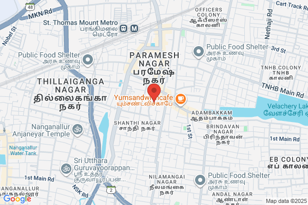 V Parthasarthy