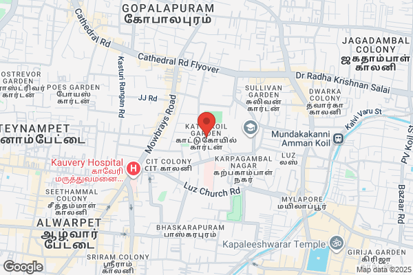 Perumal & Co