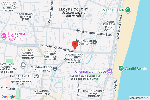 Triveni Chemicals