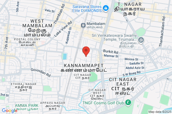 Natesan Dr C