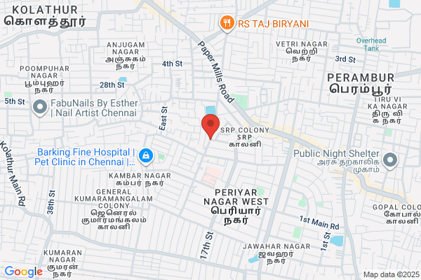 Sulochana Dr L
