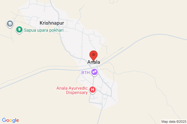 Anala International