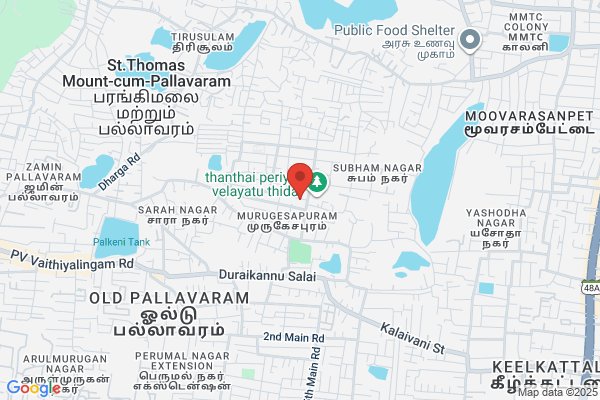 M V Dhayalan