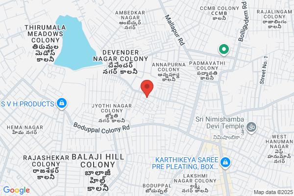 Lathaas Pest Control Services