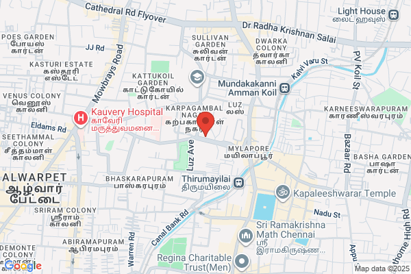 Nalli Stores