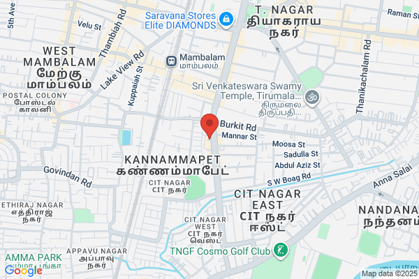 Annai Electronics