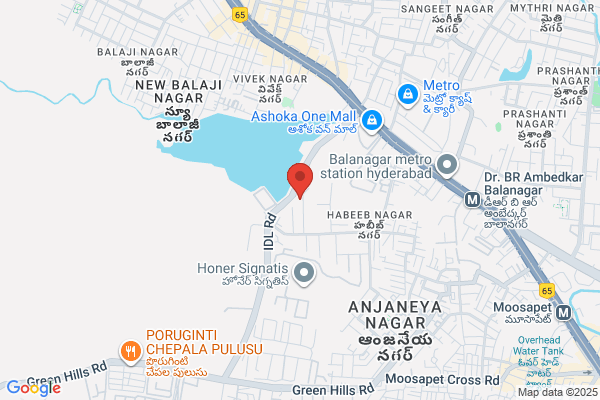 Bharathi Travels