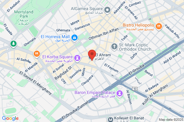 Bright Star Travel & Tours