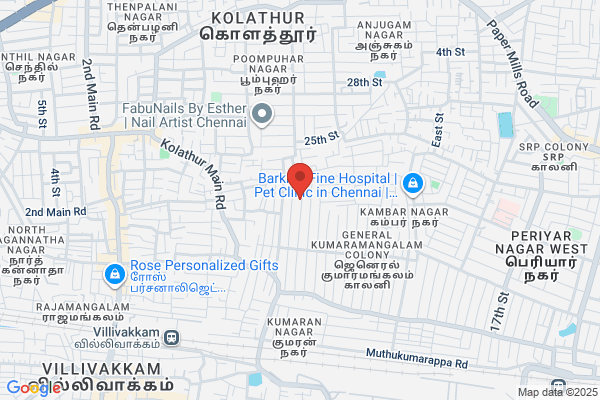 P C Palani