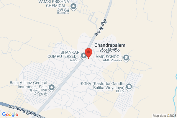 Vasavie Chemicals