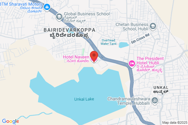 Hotel Naveen