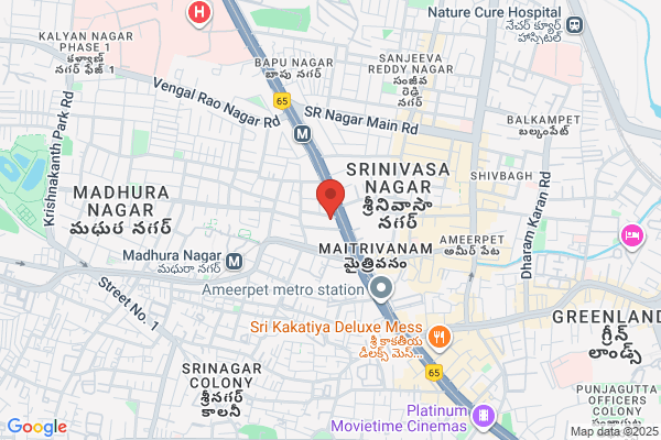 Shree Shirdi Sai Surgicals