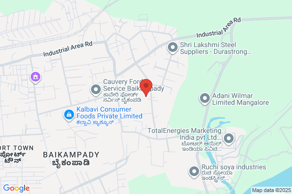ACTION SPRINGS (I) PVT. LTD.