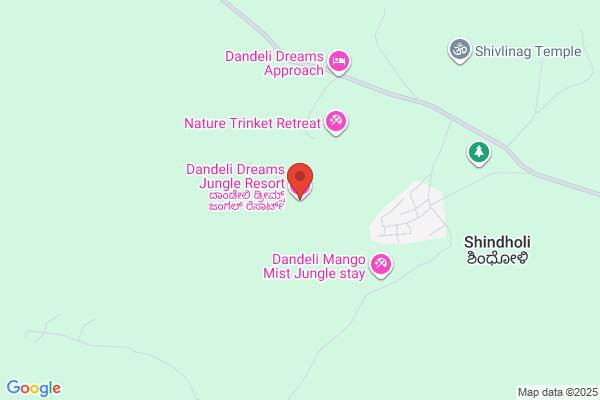 Dandeli Dreams Homestay