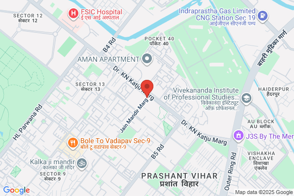 Business Registration Services in Rohini