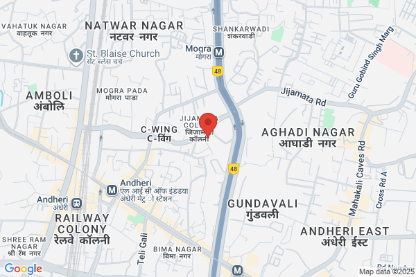 chartered accountant firm in india