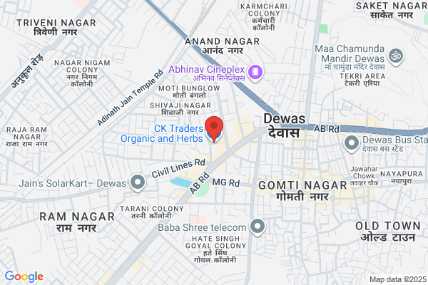 Xlligent Softwares Pvt Ltd