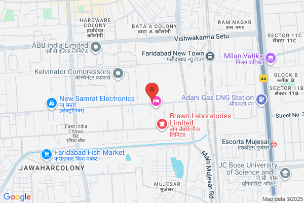 Globe Capacitors Ltd