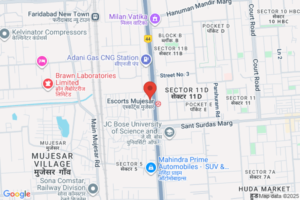 Balaji International