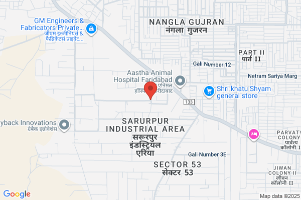 Balaji Processors